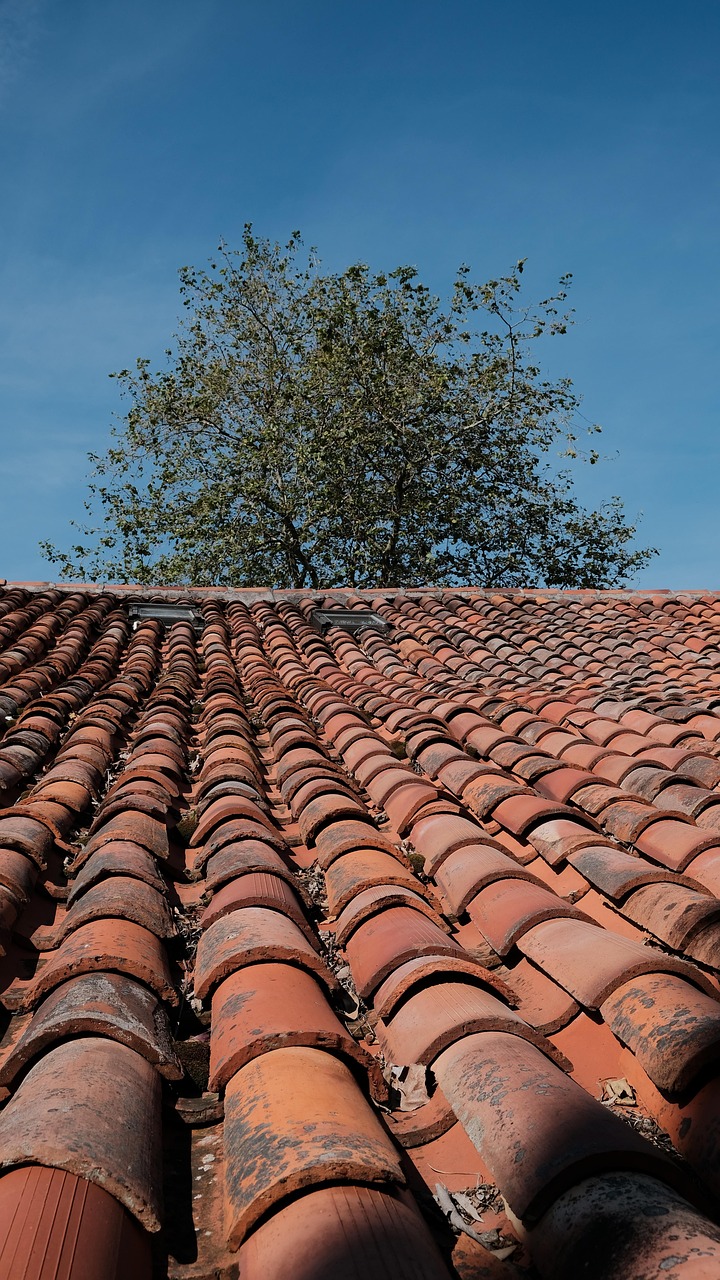 Mantenimiento de tejados